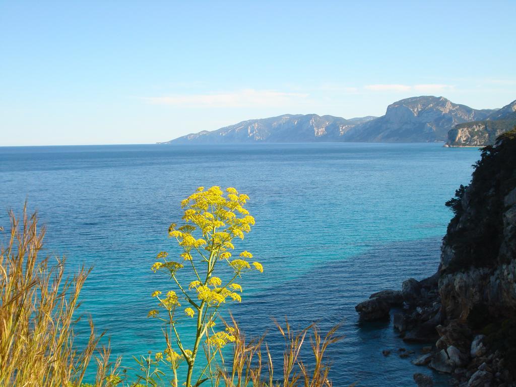 Casa Degli Oleandri Sul Cortile R6314 Apartamento Cala Gonone Exterior foto